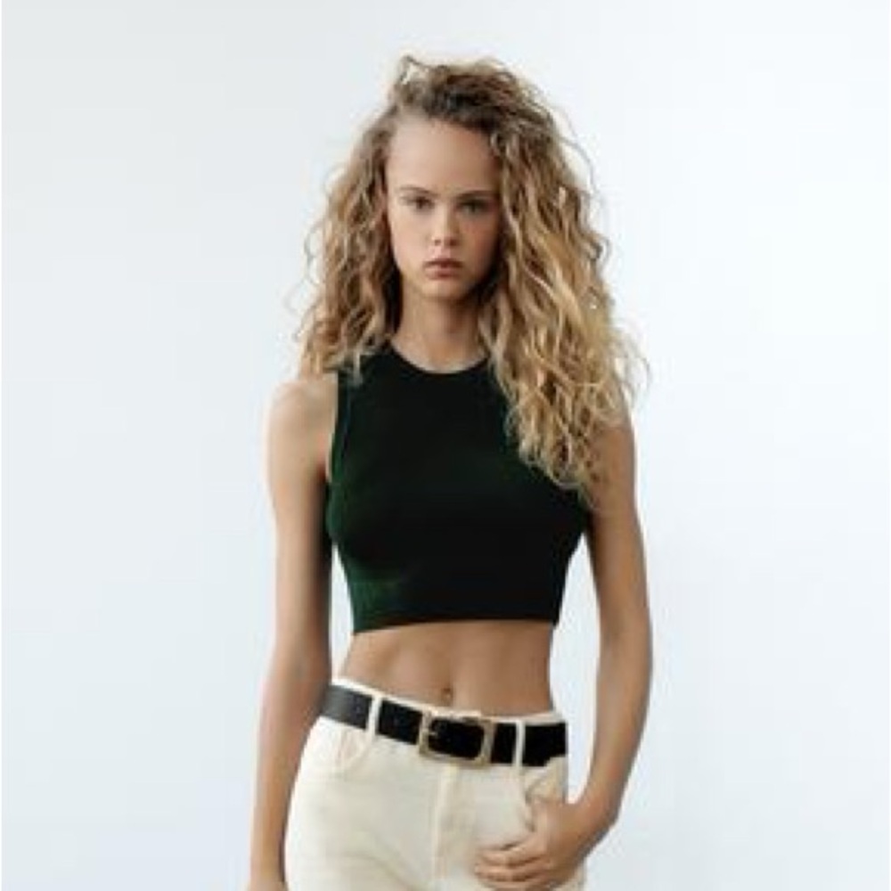 ZARA Basic Cropped Knit Top